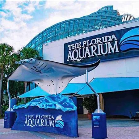 Villa Minutes To Fairgrounds, Hard Rock, & Busch Gardens à Tampa Extérieur photo