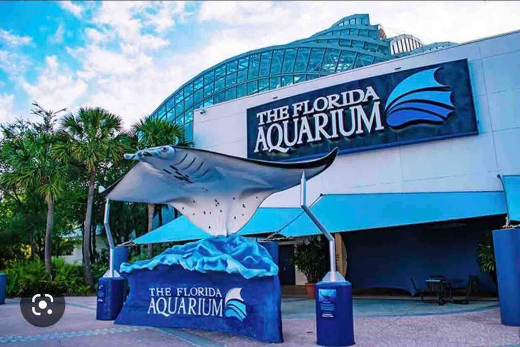 Villa Minutes To Fairgrounds, Hard Rock, & Busch Gardens à Tampa Extérieur photo